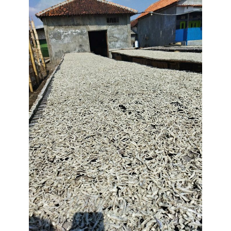 

IKAN TERI JENGKI REBUS