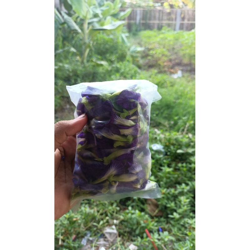 

herba BUNGA TELANG organik ukuran 50gram grade a
