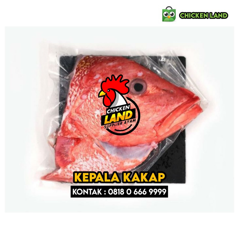 

KEPALA KAKAP MERAH 1KG ( FROZEN )