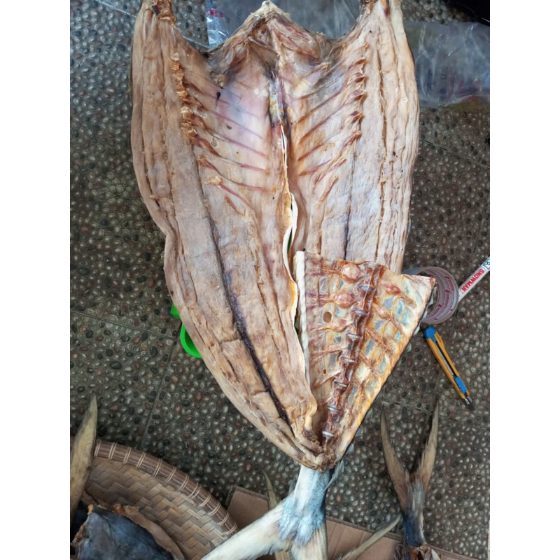 

ikanasin
