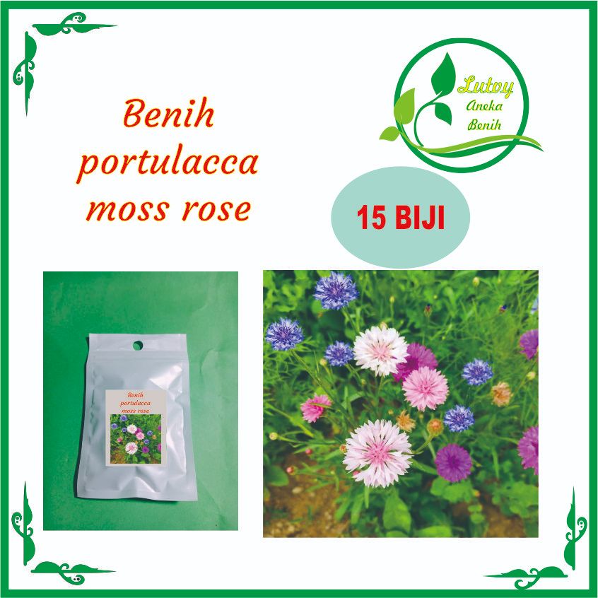 BENIH BUNGA PORTULACA MOSS ROSE ISI 15 BIJI