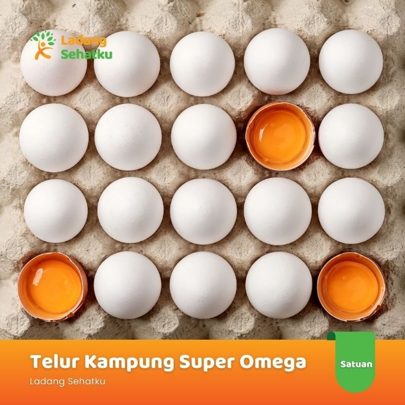 

Telur Kampung Super Omega