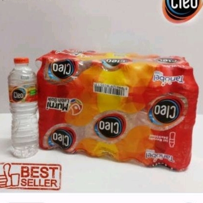 Air Mineral Cleo Botol 550Ml Dus