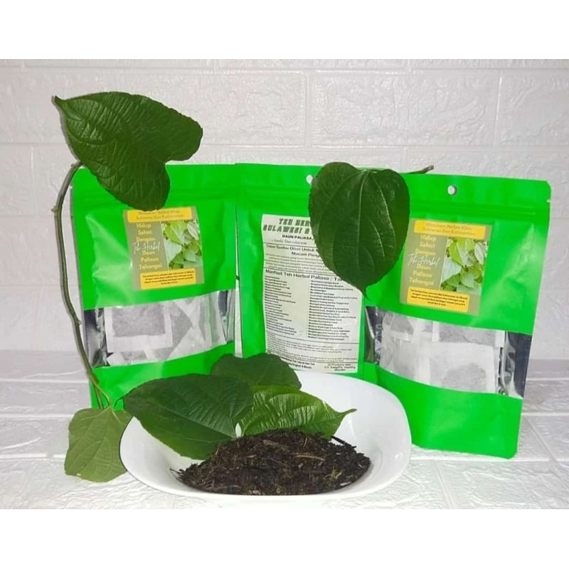 Teh  daun paliasa atau tahongai ( 1 pack isi 20 pcs teh )