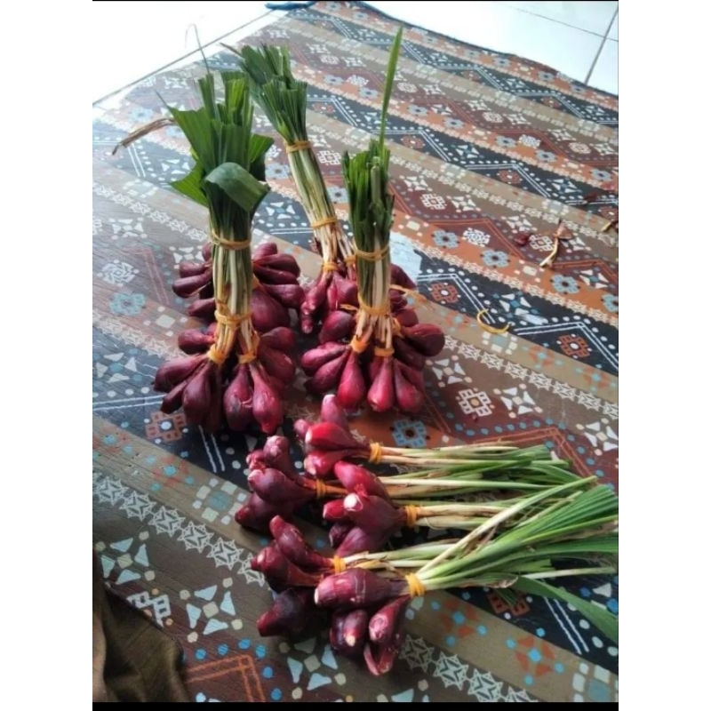 

Bawang Dayak 1Kg / bawang Kalimantan GRADE A