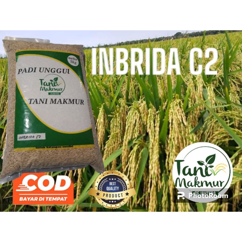Benih padi inbrida C2 kemasan 5kg original