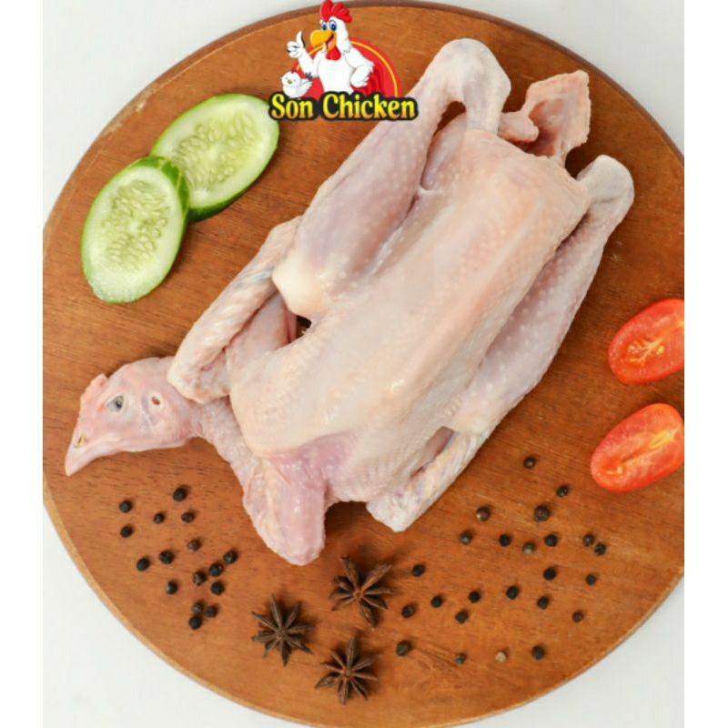 

Ayam Kampung Fresh 0,9Gr - 1,2kg Berat Hidup