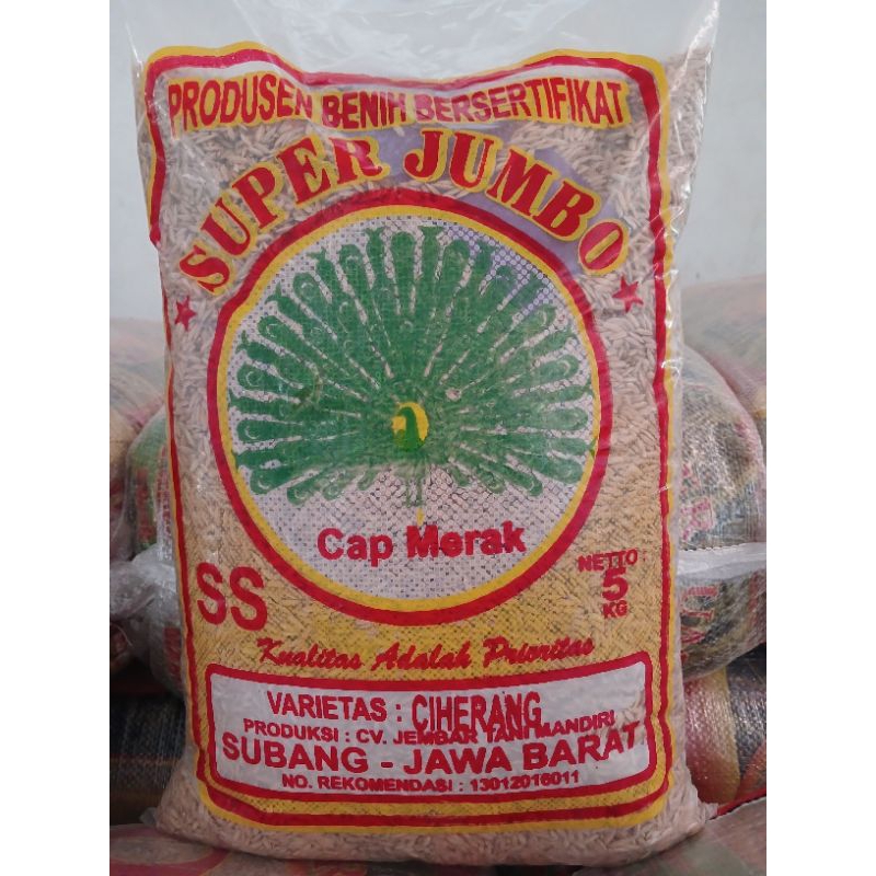 CIHERANG MERAK SUPER JUMBO