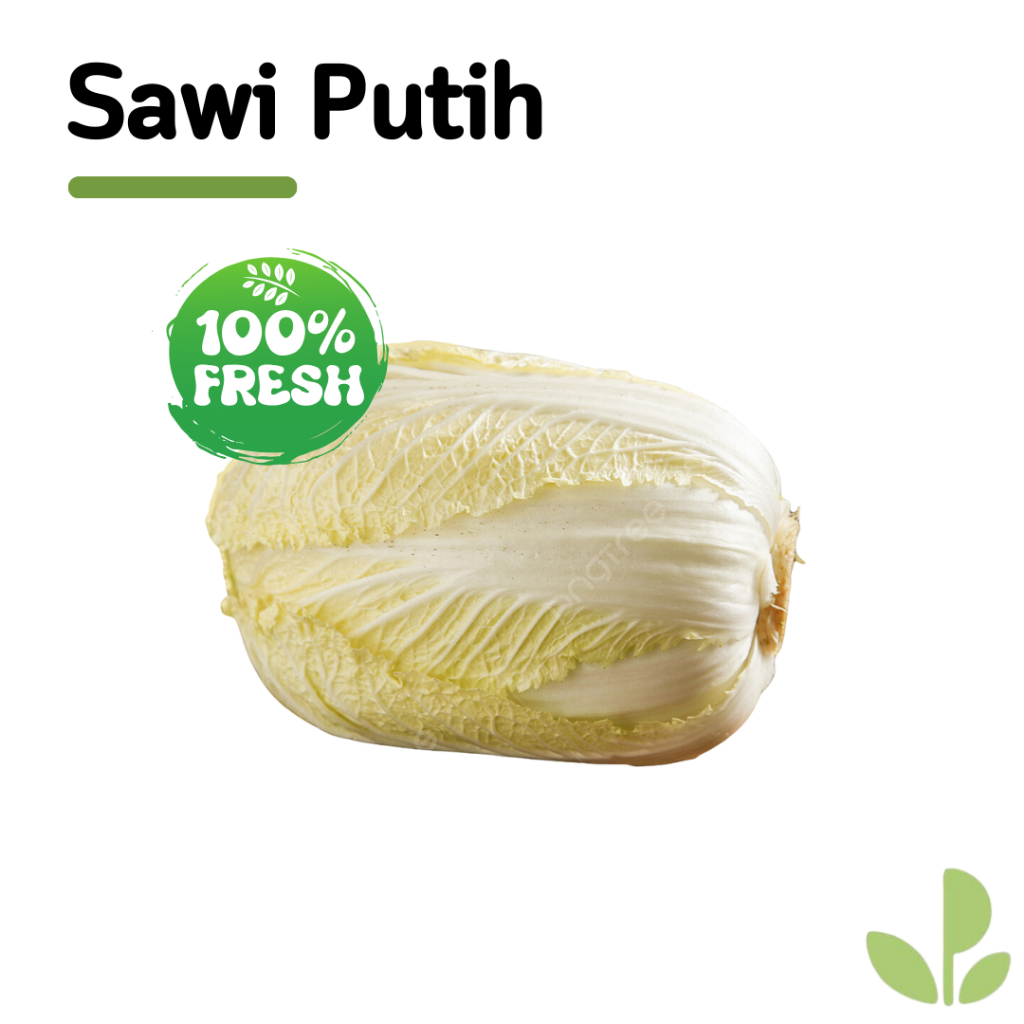 

SAWI PUTIH | 500GR & 1KG |