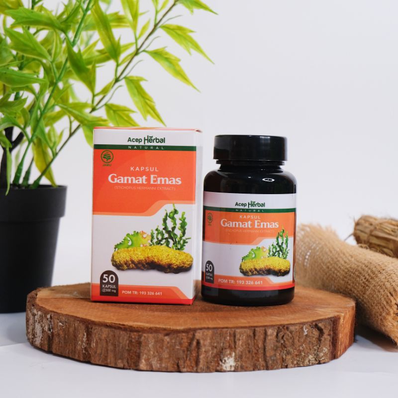 QnC  Gamat kapsul GAMAT QNC 100% ORIGINAL - Vitamin & Suplemen Kesehatan Dari Teripang Emas