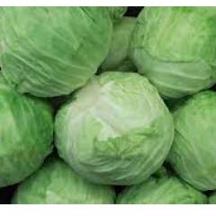 

BUDE SAYUR - SAYUR KOL ( 1kg - 1,5 kg ) / Kubis 1buah