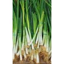 

BUDE SAYUR - Daun Bawang 100Gram