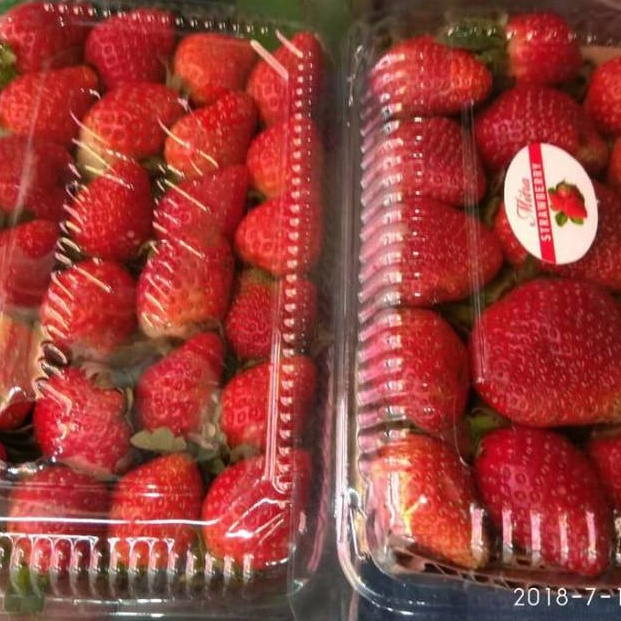 

TIPE ZMM962 Buah strawberry organik bandung
