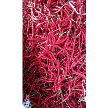 

TIPE CDK29 Cabe Cabai Kriting Merah Segar KG