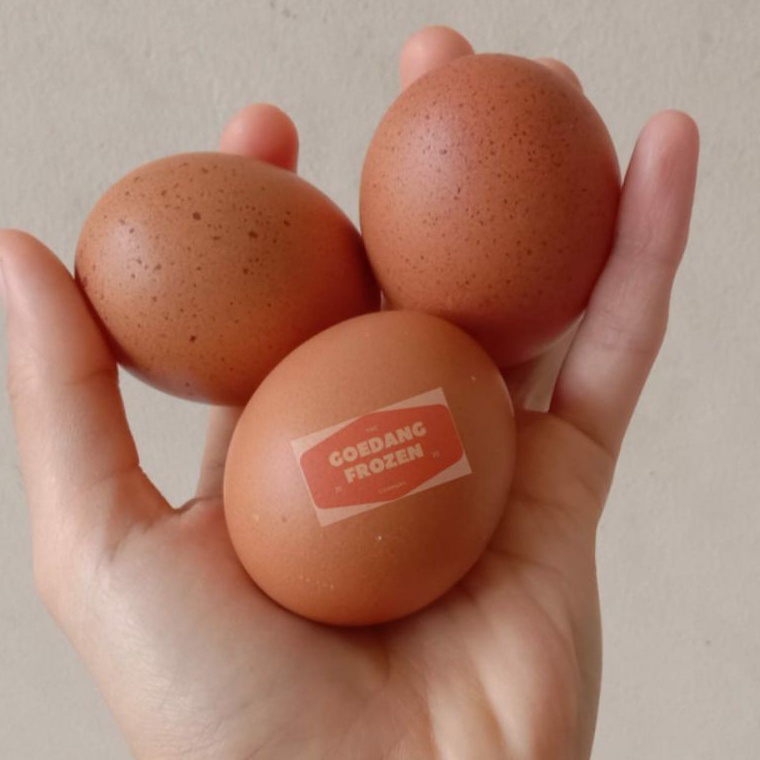 

Kode TOA841 Telur Ayam Negeri 1 Butir