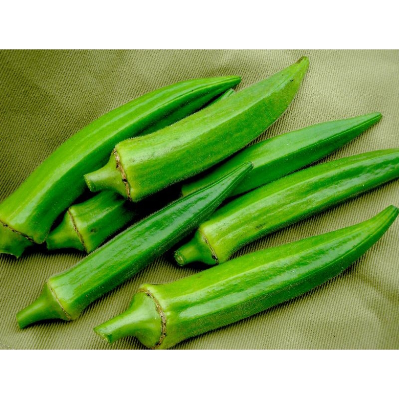 

Okra Muda 500 gram - Okra Bendi ladyfinger