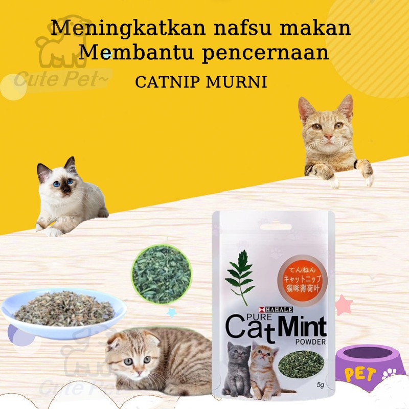 Catnip cat mint PURE CATMINT POWDER Cat Mint Catnip Powder.