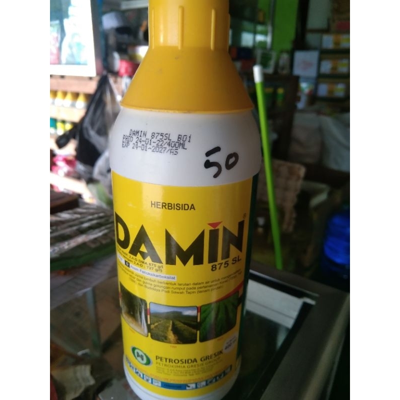 HERBISIDA DAMIN 400ml 875Sl