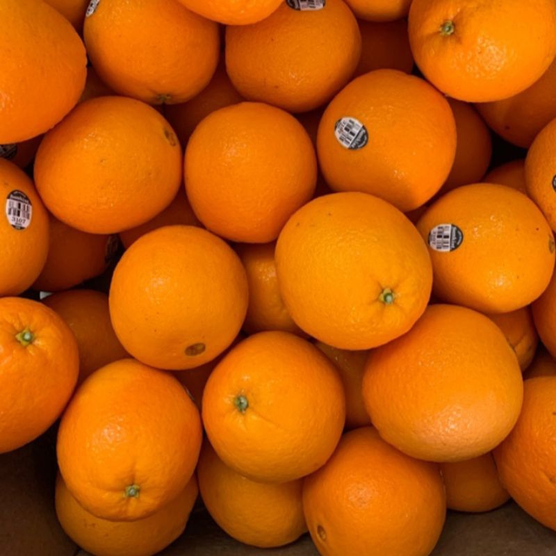 

[CosmicSoul] BUAH JERUK SUNKIST NAVEL PREMIUM 1 DUS