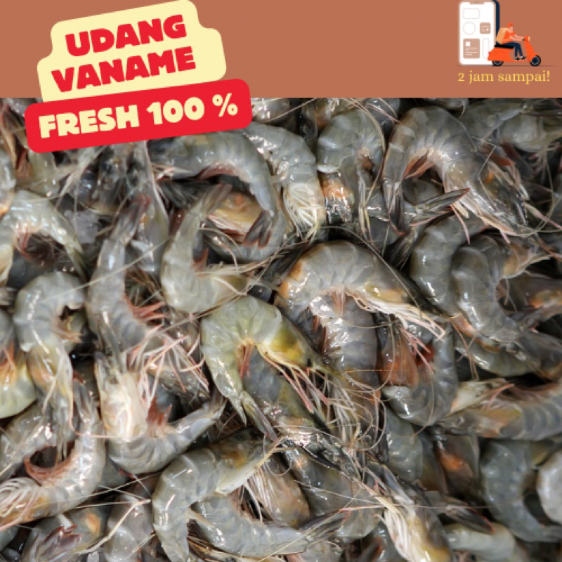

Udang Vaname Udang Vanami 250 gram Fresh Segar KIRIM INSTAN BANDUNG