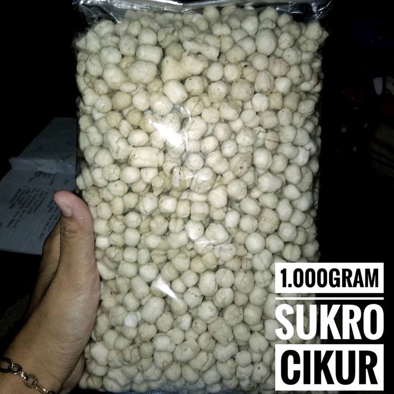 

K5 Pilus Cikur 1kg Sukro Cikur Sari Murah Halal Higienis For sale