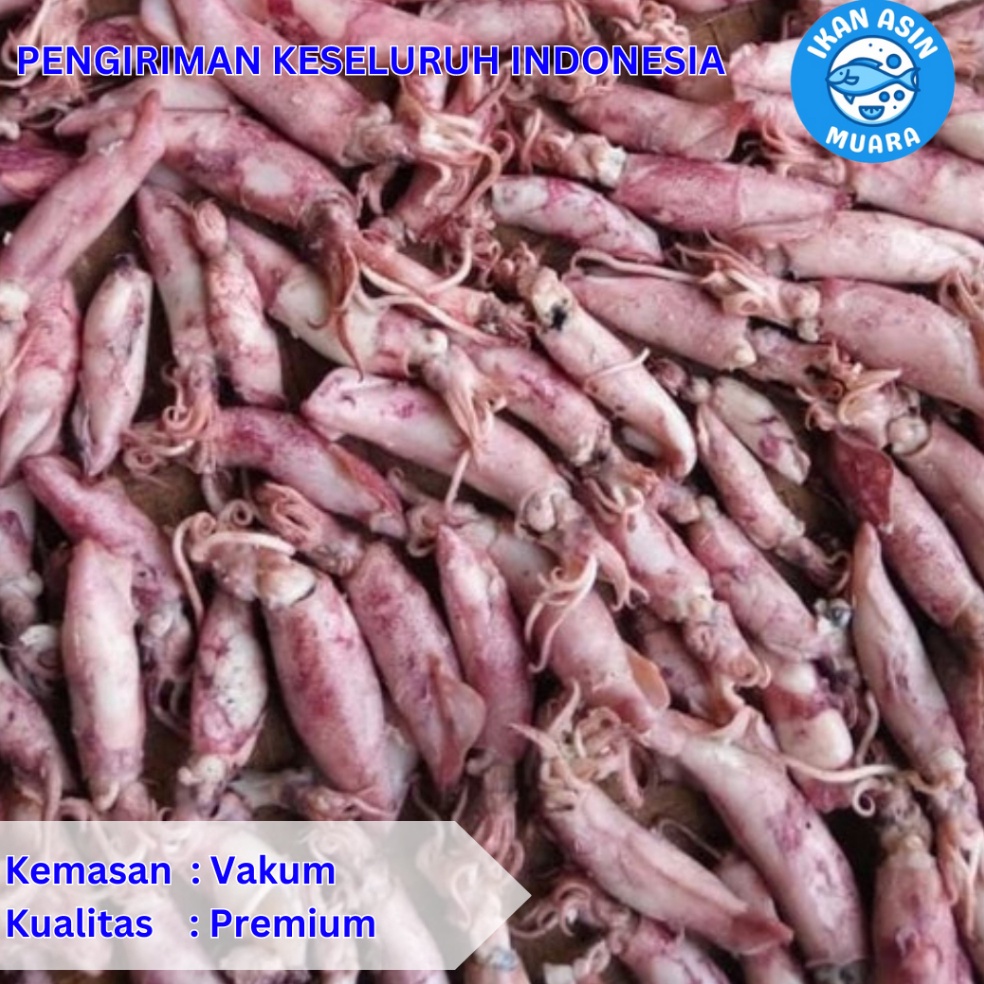 

M56 Cumi Asin Kemasan Vakum 25 Gram 5 Gram Ikan Asin Muara Big Promo