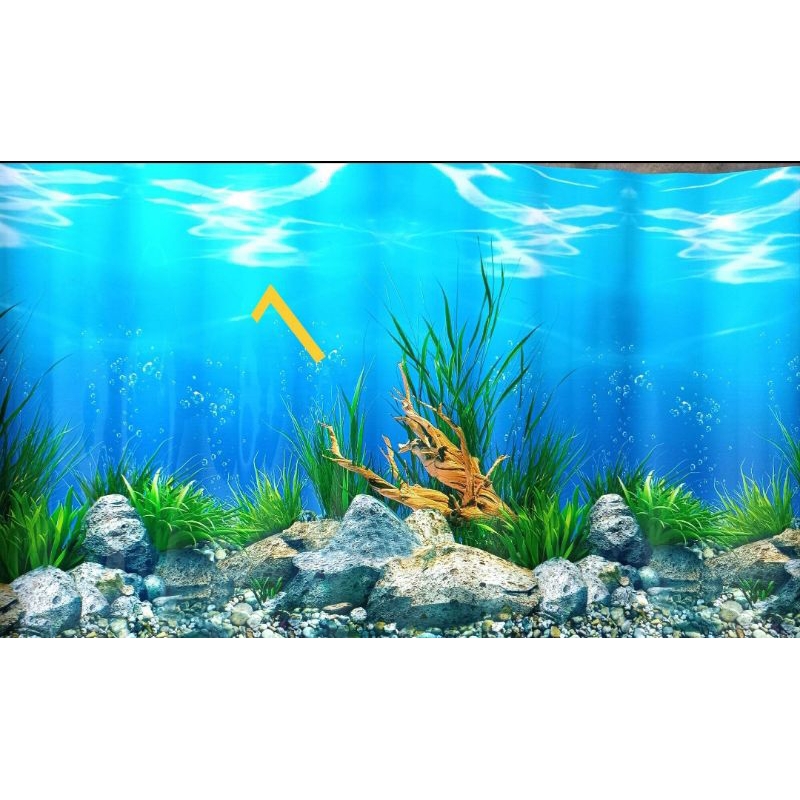 Wallpaper Aquarium tinggi 40 cm  Gambar Background Aquarium