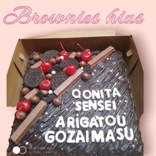 

brownies hias 25cm