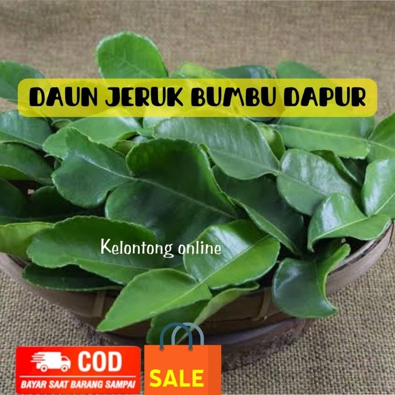 

(50 gram) Daun jeruk bumbu dapur// fresh