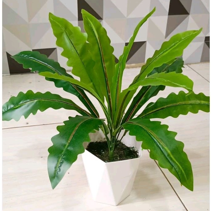 Daun gelombang cinta plastik / daun kadaka artificial dengan pot diamond