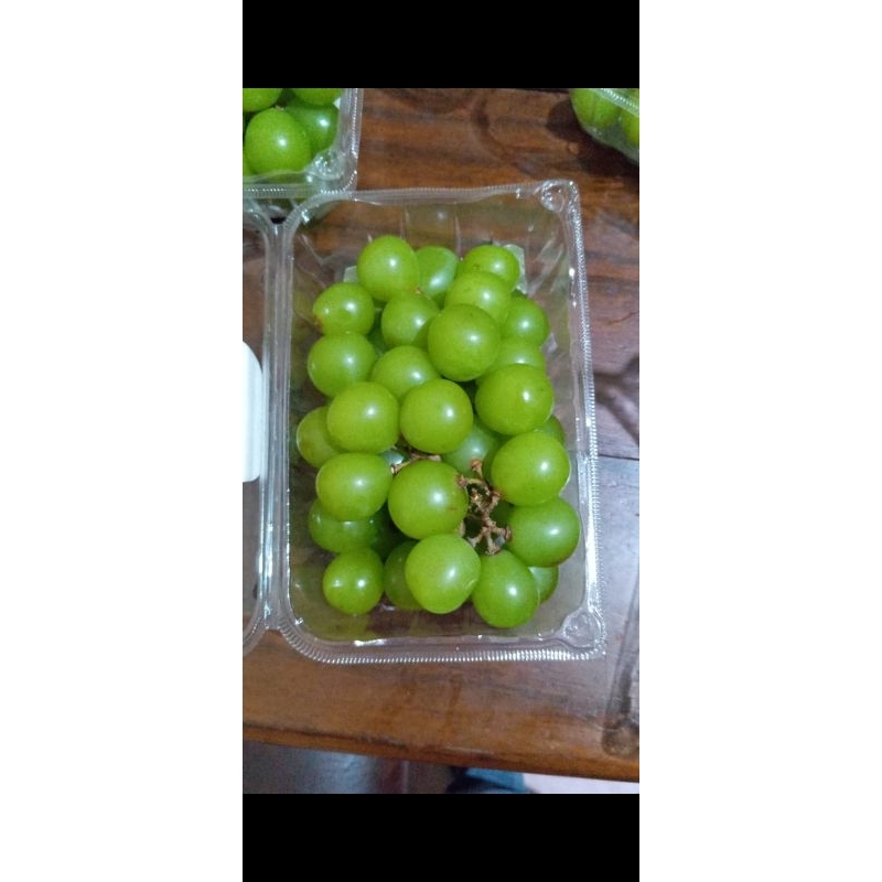 

anggur muscat seger 1pak 35