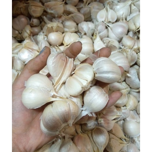 

Bawang Putih Kating Bersih 1kg