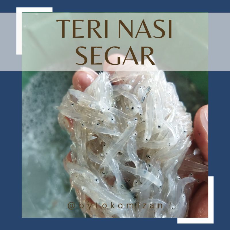 

Teri Nasi segar basah bisa untuk MPASI