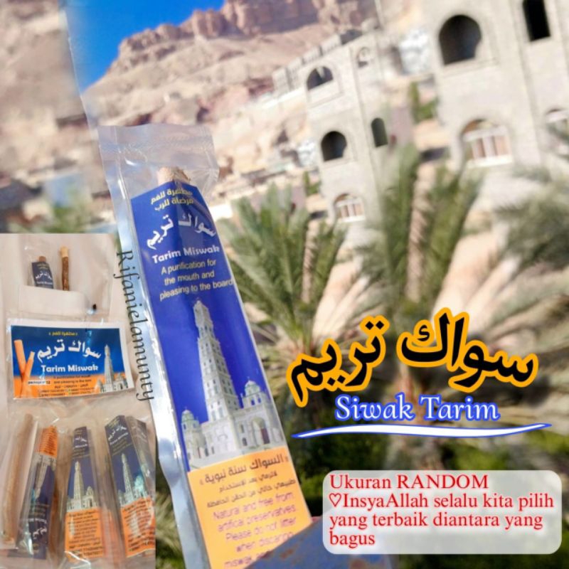 READY Tarim Siwak/siwak Miswak Tarim kemasan