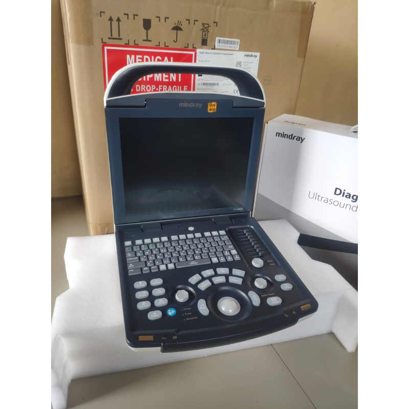 USG MINDRAY DP10