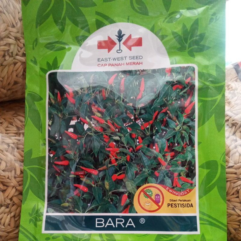 Benih Rawit BARA
