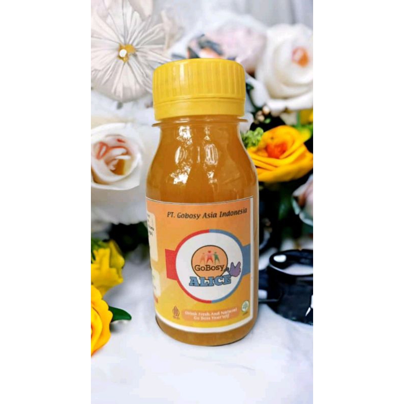 gobosy Alice isi 8btl