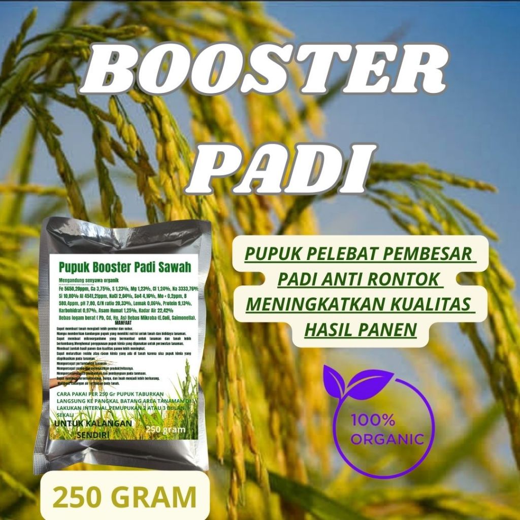 Pupuk Booster Padi Sawah / Pelebat Buah dan Anti Rontok /Pupuk Padi Sawah Agar Cepat Berbuah Lebat /