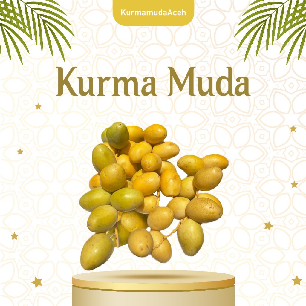 

KURMA MUDA SEGAR