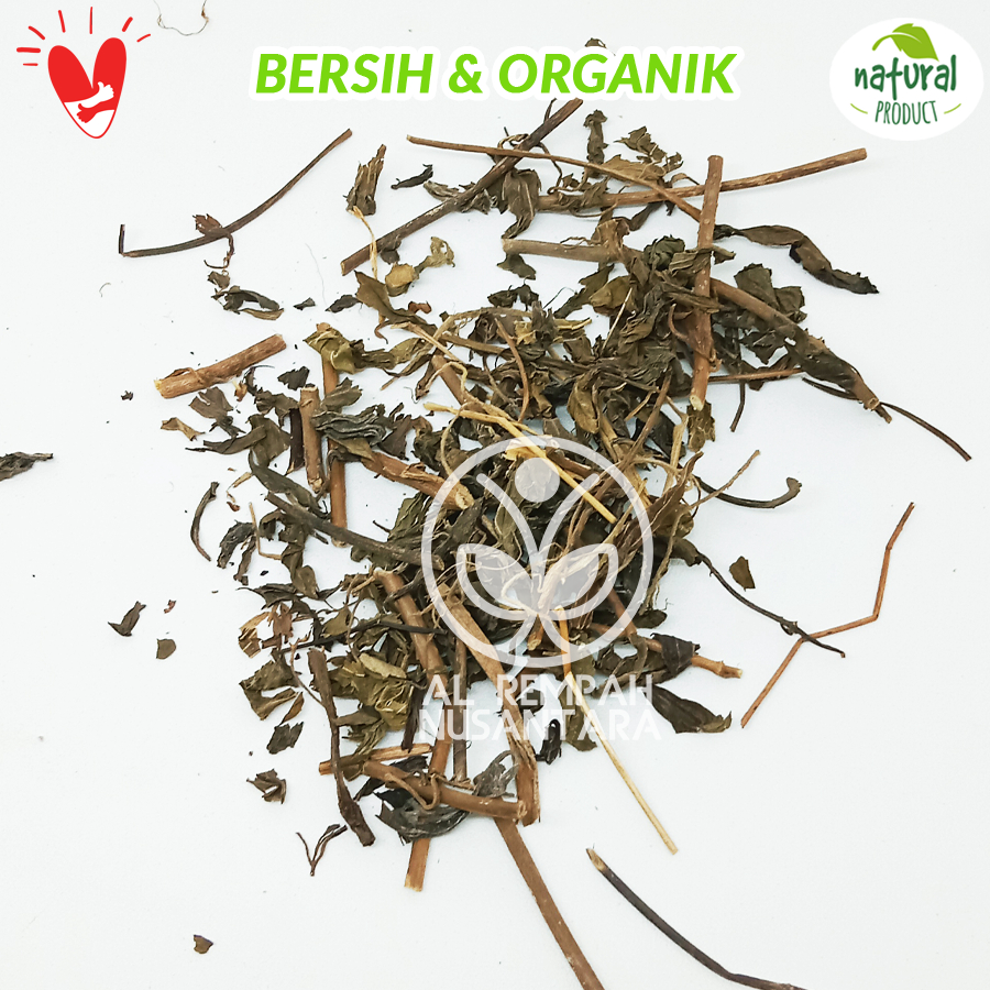 

Bersih Kumis Kucing Kering 250gr Organik dan Bersih