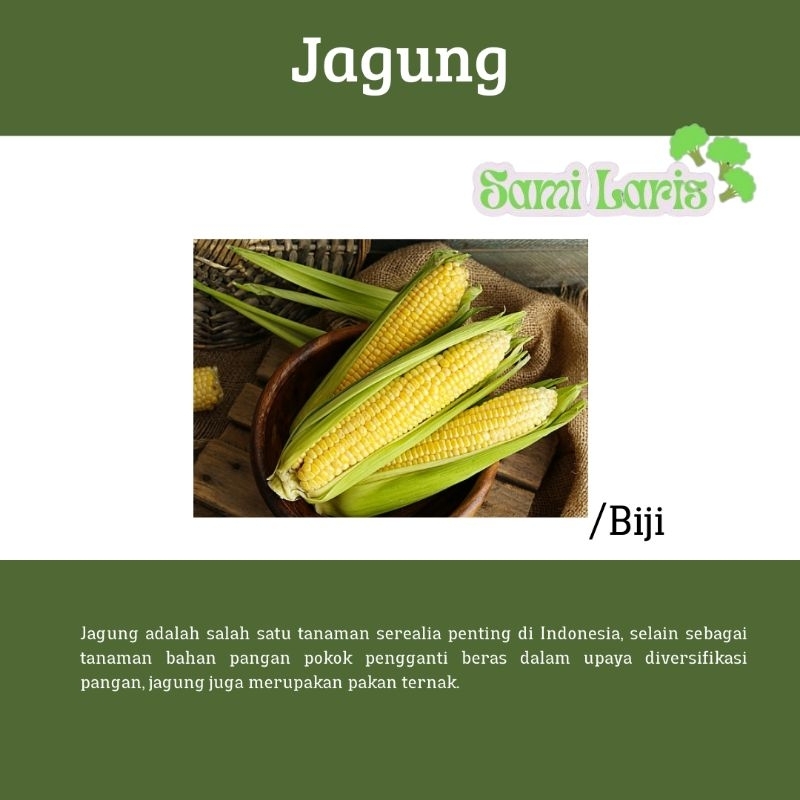 

Jagung Manis/Pcs