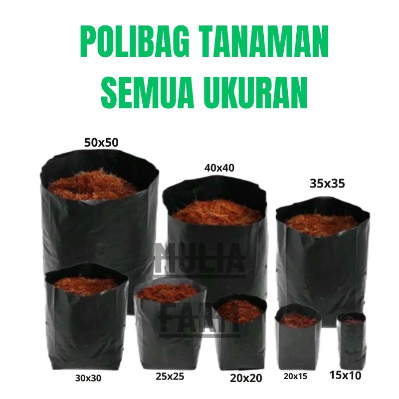 polybag polibag semai 30x30 25x25 20x20 20x15 15x10 tanaman ecer satuan - POLYBAG PERLEMBAR