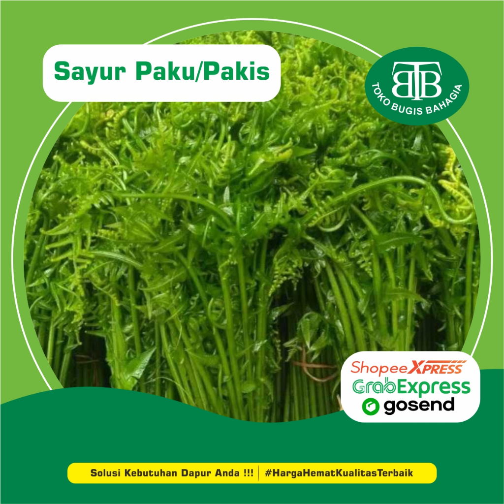 

Sayur Paku/Pakis, Murah Makassar