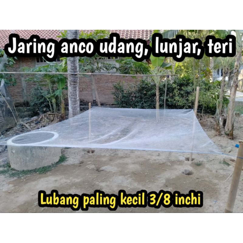 Jaring anco udang / jaring anco ikan lunjar