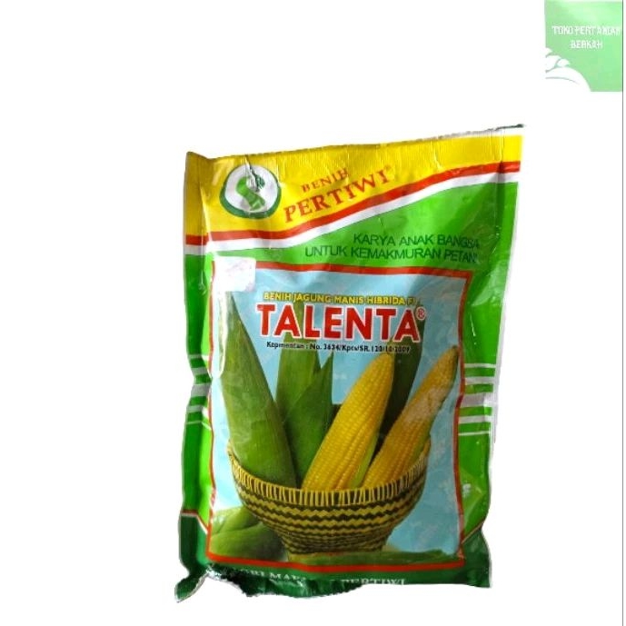 

Jagung manis talenta