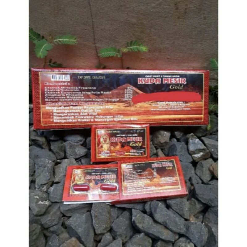 Kapsul Original Kuda Mesir