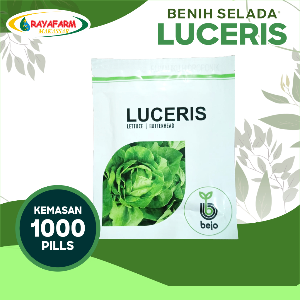 Benih Bibit Selada Luceris 1000 Pills - Bejo Seed