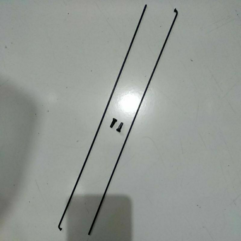 Ruji Sepeda Stainless DT SWISS 299mm (Spoke)