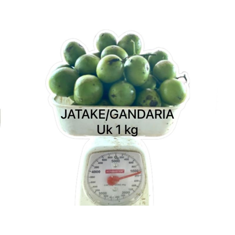 

buah Gandaria jatake segar