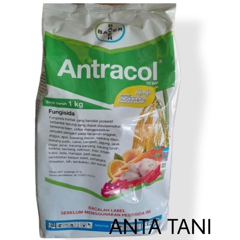 FUNGISIDA ANTRACOL 1 KG